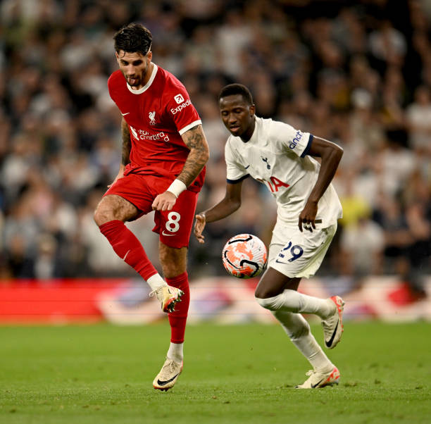 内的普及 内的普及