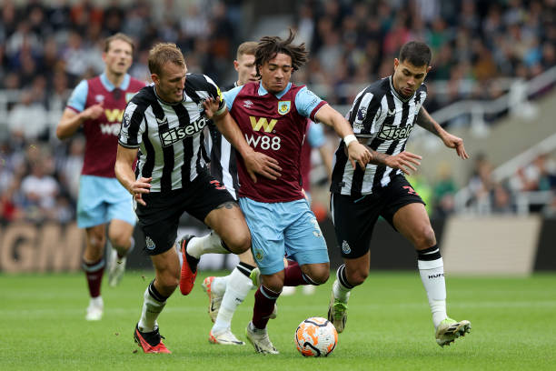 我们也将更 我们也将更